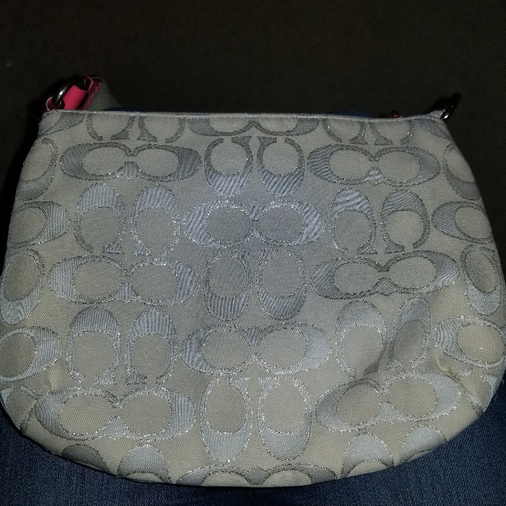 Coach Metallic Swingpack - Picture 4 of 8